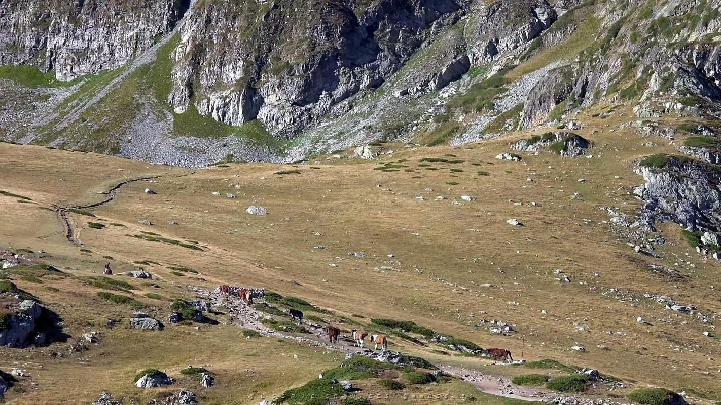 Vues du monde 2018 - 159.JPG